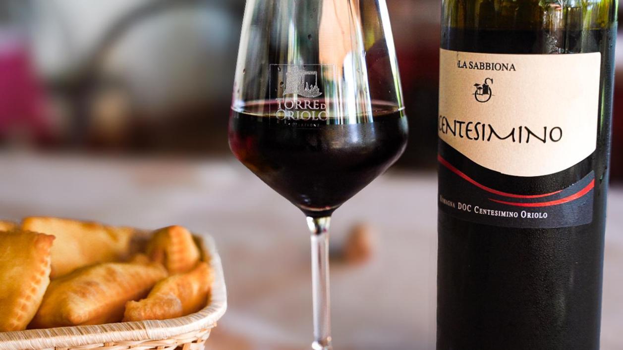Agriturismo E Cantina La Sabbiona Faenza Zewnętrze zdjęcie
