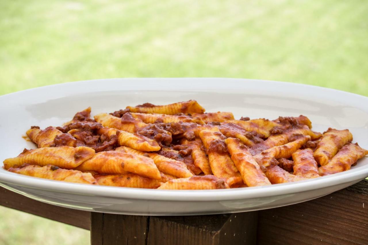 Agriturismo E Cantina La Sabbiona Faenza Zewnętrze zdjęcie
