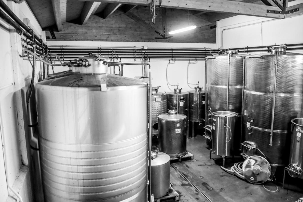 Agriturismo E Cantina La Sabbiona Faenza Zewnętrze zdjęcie